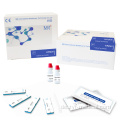 H Pylori Antikörper Rapid Test Kit